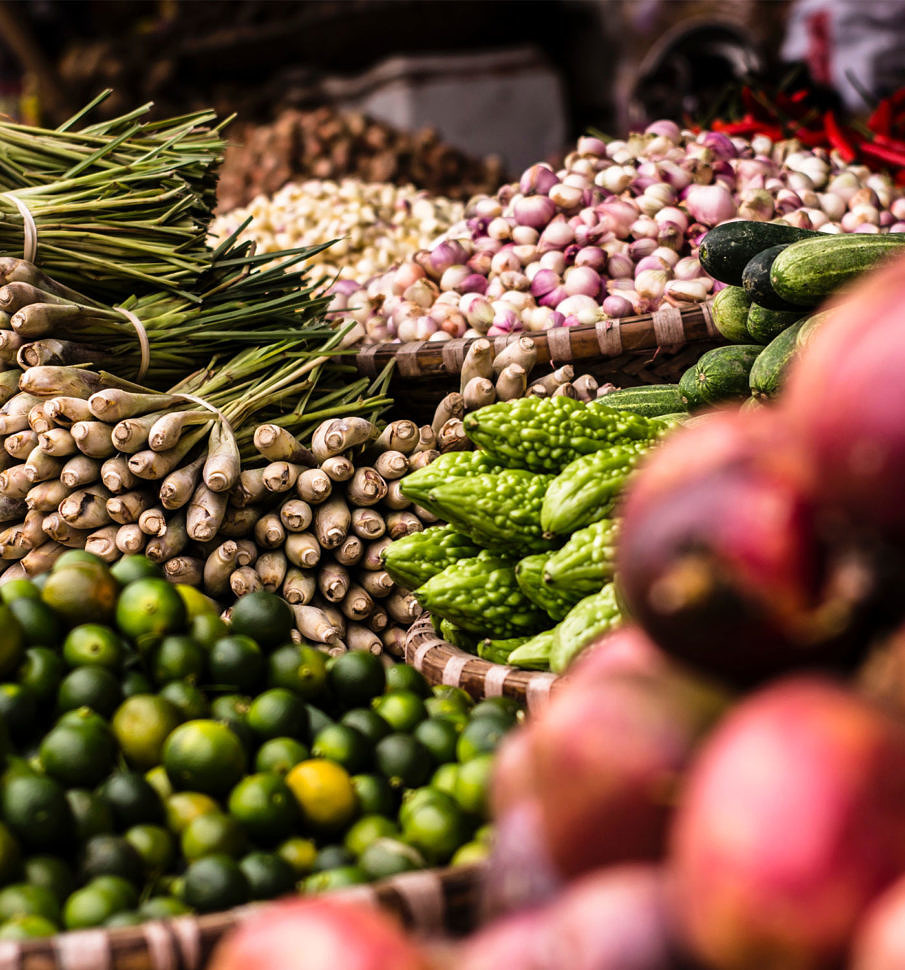 What is sustainable agriculture picture
