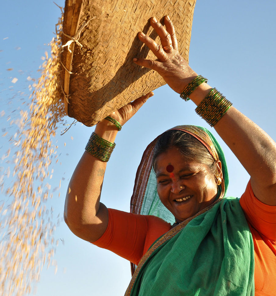 What is sustainable agriculture picture