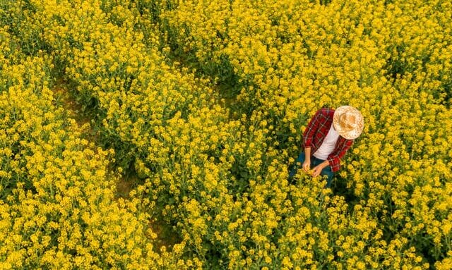 Scaling Regenerative and Climate-Smart Agriculture  picture